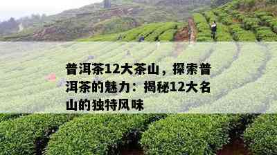 普洱茶12大茶山，探索普洱茶的魅力：揭秘12大名山的特别风味