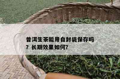 普洱生茶能用自封袋保存吗？长期效果怎样？