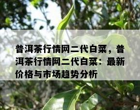 普洱茶行情网二代白菜，普洱茶行情网二代白菜：最新价格与市场趋势分析