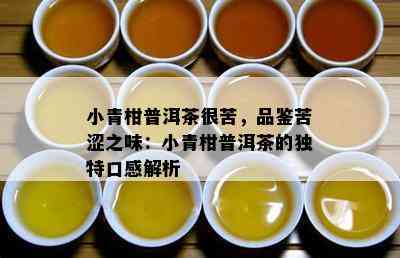 小青柑普洱茶很苦，品鉴苦涩之味：小青柑普洱茶的独特口感解析