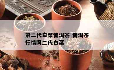 第二代白菜普洱茶-普洱茶行情网二代白菜