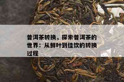 普洱茶转换，探索普洱茶的世界：从鲜叶到佳饮的转换过程