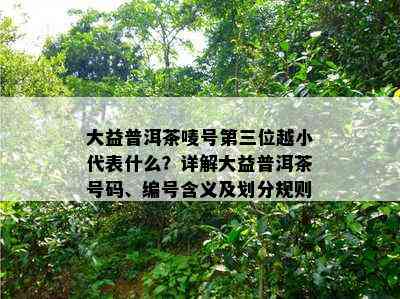 大益普洱茶唛号第三位越小代表什么？详解大益普洱茶号码、编号含义及划分规则