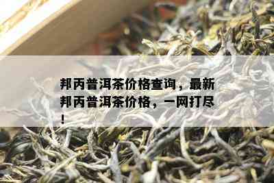 邦丙普洱茶价格查询，最新邦丙普洱茶价格，一网打尽！