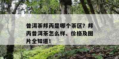 普洱茶邦丙是哪个茶区？邦丙普洱茶怎么样、价格及图片全知道！