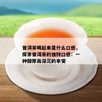 普洱茶喝起来是什么口感，探索普洱茶的独特口感：一种醇厚而深沉的享受