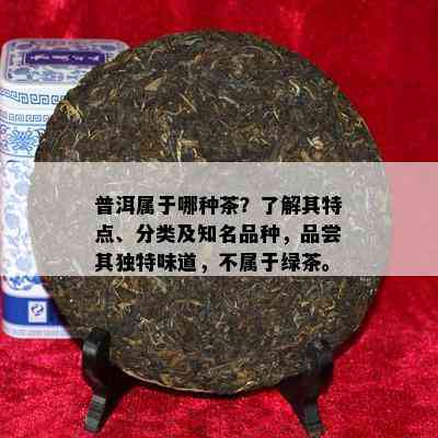 普洱属于哪种茶？熟悉其特点、分类及知名品种，品尝其特别味道，不属于绿茶。