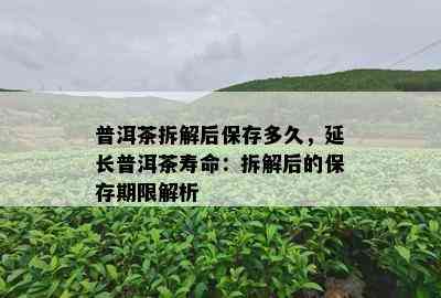 普洱茶拆解后保存多久，延长普洱茶寿命：拆解后的保存期限解析