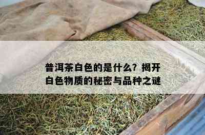 普洱茶白色的是什么？揭开白色物质的秘密与品种之谜