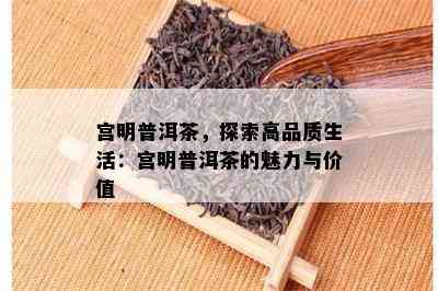 宫明普洱茶，探索高品质生活：宫明普洱茶的魅力与价值