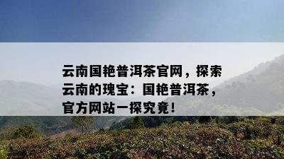 云南国艳普洱茶官网，探索云南的瑰宝：国艳普洱茶，官方网站一探究竟！