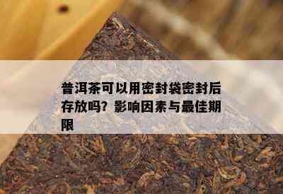 普洱茶可以用密封袋密封后存放吗？影响因素与更佳期限