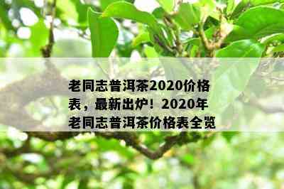 老同志普洱茶2020价格表，最新出炉！2020年老同志普洱茶价格表全览