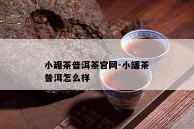 小罐茶普洱茶官网-小罐茶普洱怎么样