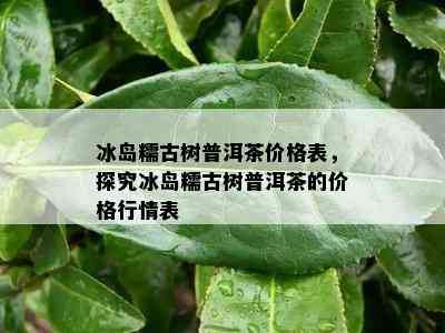 冰岛糯古树普洱茶价格表，探究冰岛糯古树普洱茶的价格行情表