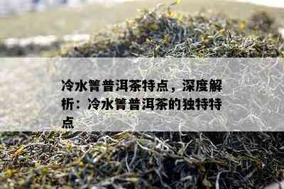 冷水箐普洱茶特点，深度解析：冷水箐普洱茶的独特特点