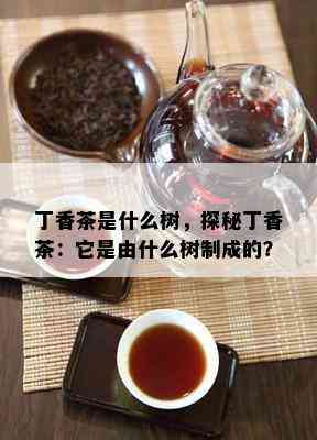 丁香茶是什么树，探秘丁香茶：它是由什么树制成的？