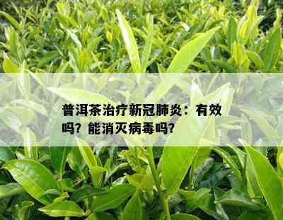 普洱茶治疗新冠肺炎：有效吗？能消灭病吗？