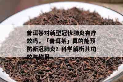 普洱茶对新型冠状肺炎有疗效吗，「普洱茶」真的能预防新冠肺炎？科学解析其功效与作用