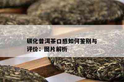 碳化普洱茶口感怎样鉴别与评价：图片解析