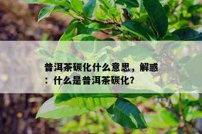 普洱茶碳化什么意思，解惑：什么是普洱茶碳化？