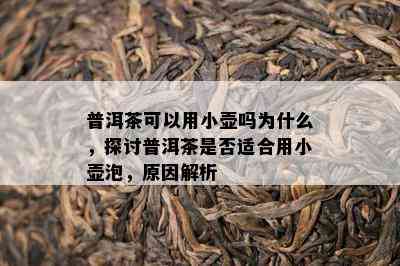 普洱茶可以用小壶吗为什么，探讨普洱茶是不是适合用小壶泡，起因解析