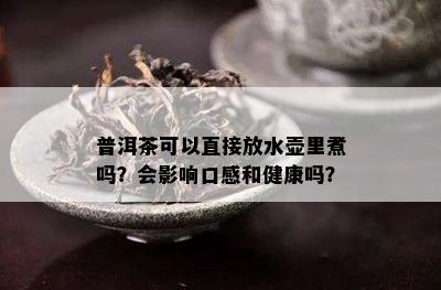 普洱茶可以直接放水壶里煮吗？会作用口感和健康吗？