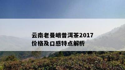 云南老曼峨普洱茶2017价格及口感特点解析