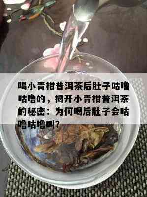 喝小青柑普洱茶后肚子咕噜咕噜的，揭开小青柑普洱茶的秘密：为何喝后肚子会咕噜咕噜叫？