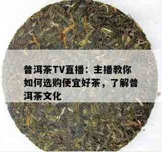 普洱茶TV直播：主播教你如何选购便宜好茶，了解普洱茶文化