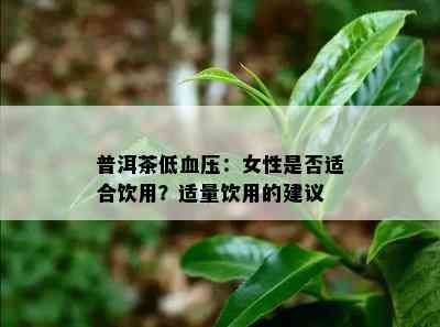 普洱茶低血压：女性是否适合饮用？适量饮用的建议