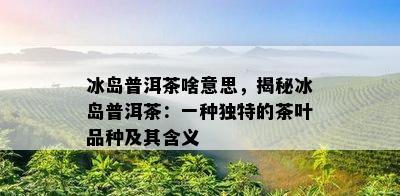 冰岛普洱茶啥意思，揭秘冰岛普洱茶：一种特别的茶叶品种及其含义