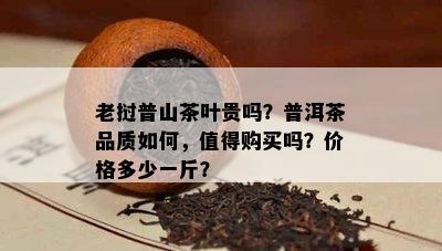 老挝普山茶叶贵吗？普洱茶品质怎样，值得购买吗？价格多少一斤？