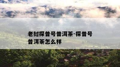 老挝探普号普洱茶-探普号普洱茶怎么样