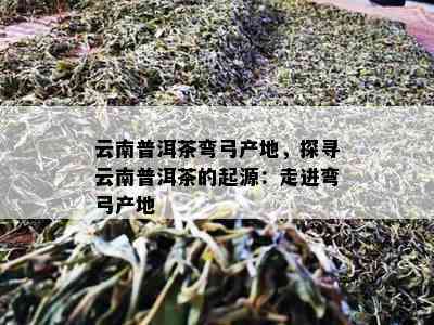 云南普洱茶弯弓产地，探寻云南普洱茶的起源：走进弯弓产地