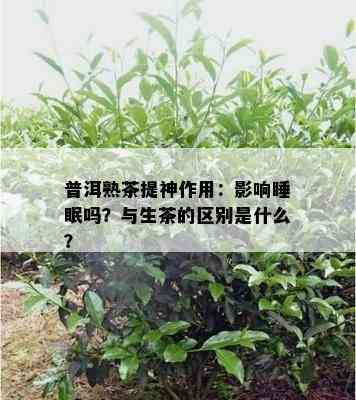 普洱熟茶提神作用：作用睡眠吗？与生茶的区别是什么？