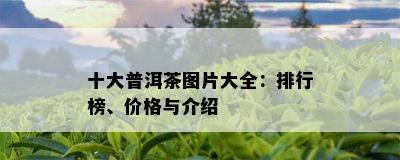 十大普洱茶图片大全：排行榜、价格与介绍