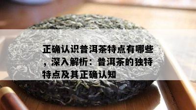 正确认识普洱茶特点有哪些，深入解析：普洱茶的特别特点及其正确认知