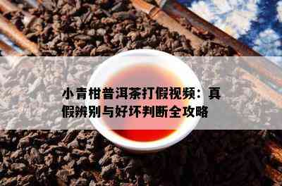 小青柑普洱茶打假视频：真假辨别与好坏判断全攻略