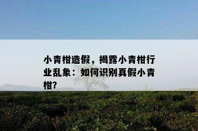 小青柑造假，揭露小青柑行业乱象：怎样识别真假小青柑？