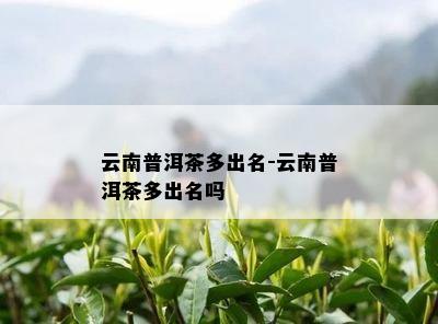 云南普洱茶多出名-云南普洱茶多出名吗