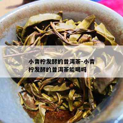 小青柠发酵的普洱茶-小青柠发酵的普洱茶能喝吗