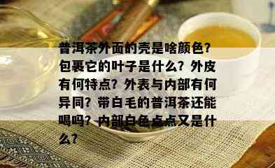 普洱茶外面的壳是啥颜色？包裹它的叶子是什么？外皮有何特点？外表与内部有何异同？带白毛的普洱茶还能喝吗？内部白色点点又是什么？