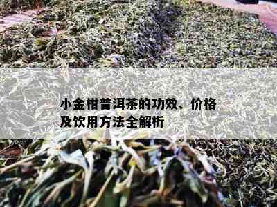 小金柑普洱茶的功效、价格及饮用方法全解析