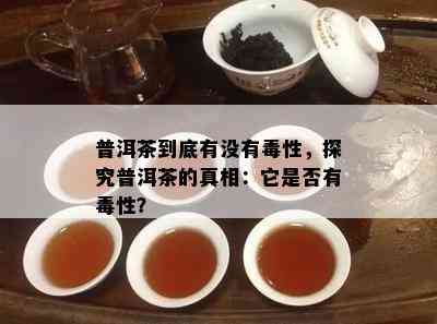 普洱茶到底有没有性，探究普洱茶的真相：它是否有性？