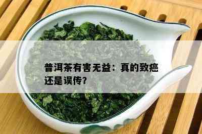 普洱茶有害无益：真的致癌还是误传？