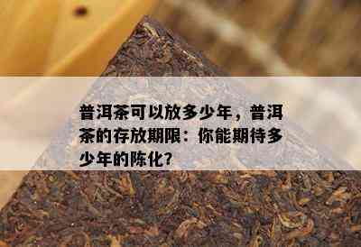 普洱茶可以放多少年，普洱茶的存放期限：你能期待多少年的陈化？