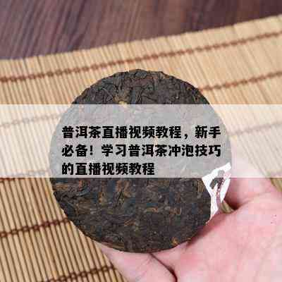 普洱茶直播视频教程，新手必备！学习普洱茶冲泡技巧的直播视频教程