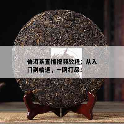 普洱茶直播视频教程：从入门到精通，一网打尽！