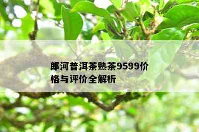 郎河普洱茶熟茶9599价格与评价全解析